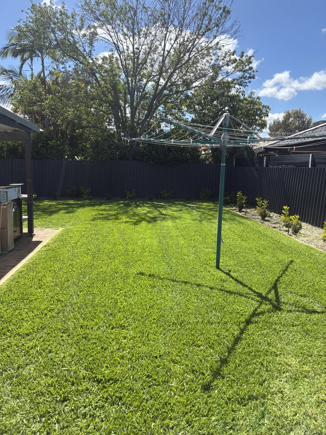 Singleton lawn after mowing with clean finish