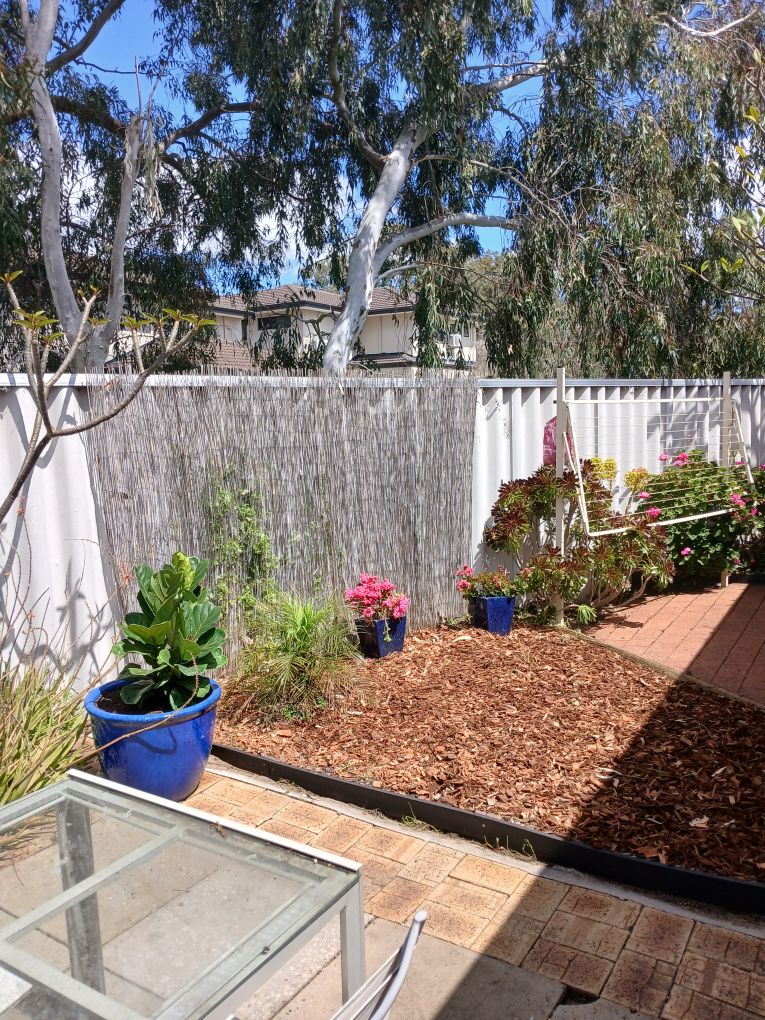 Same yard after cleanup work was completed
